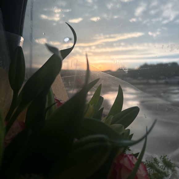 Meet your Posher, Lilliana - Picture 1 of 1